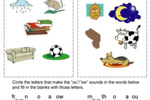 OA and OW Worksheets 5
